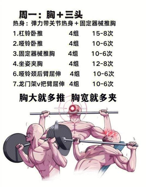新手健身计划