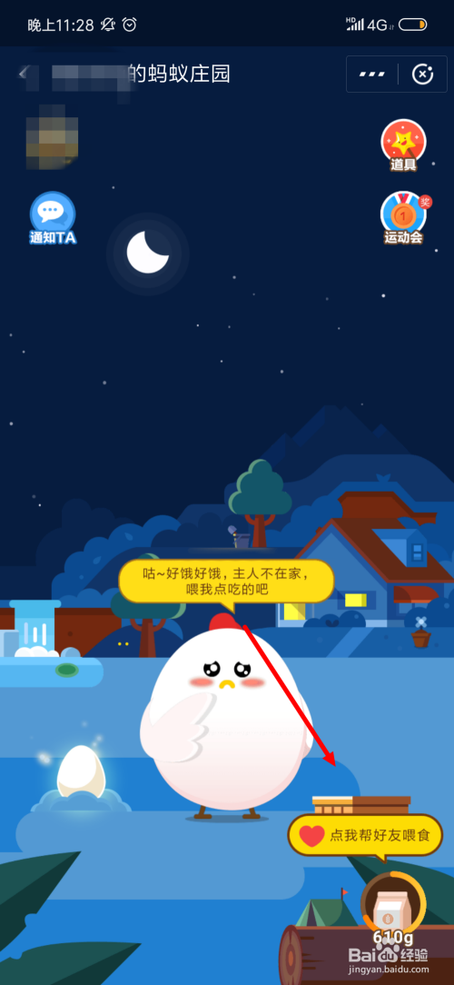蚂蚁庄园小鸡多久不喂食就去别人家