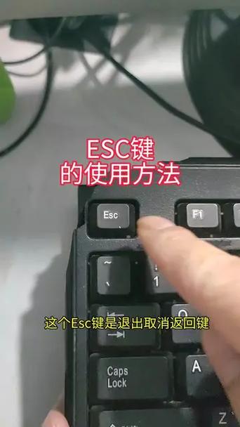 电脑中esc键的作用