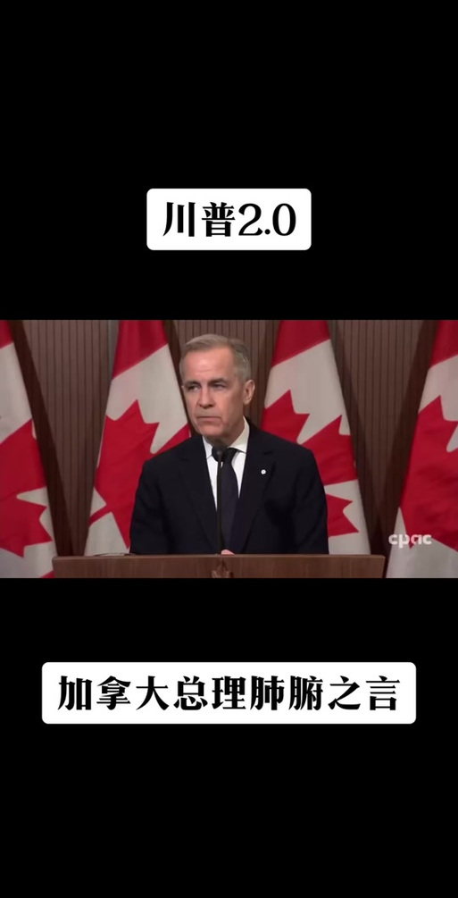 加拿大2.0和2.8玩法区别图标