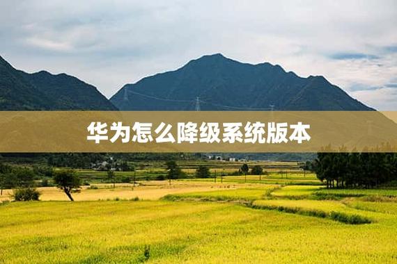 华为可以降级系统版本