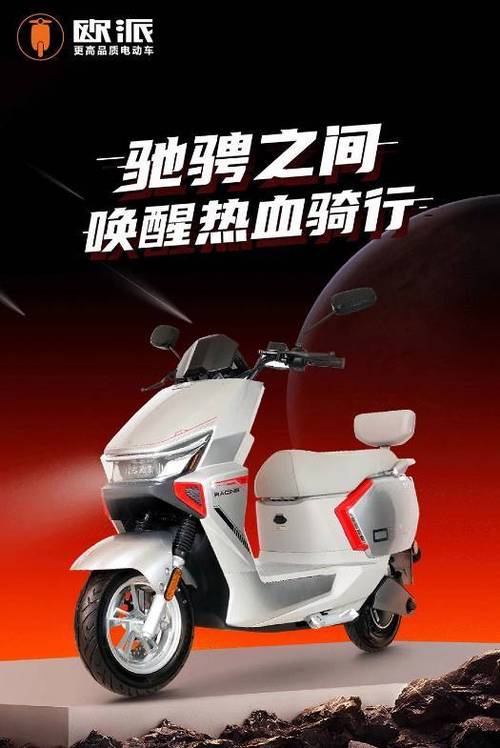欧派国标电动车图片