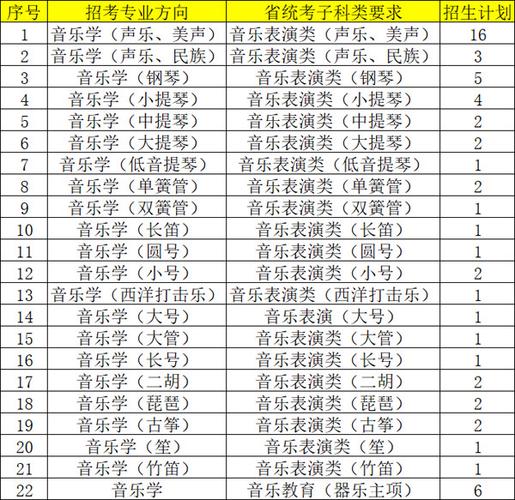 音乐生可以报考的大学