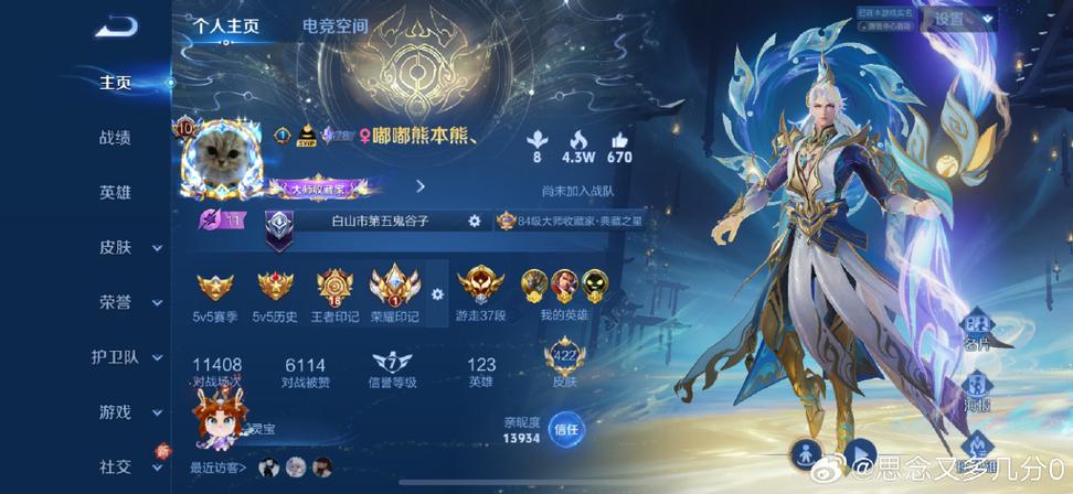 王者号哪里看图标