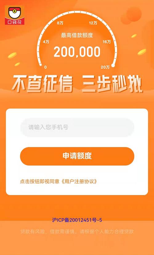 金口袋app贷款下载