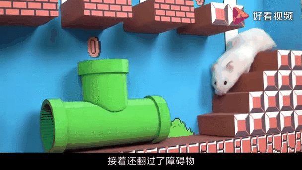 仓鼠通关大挑战