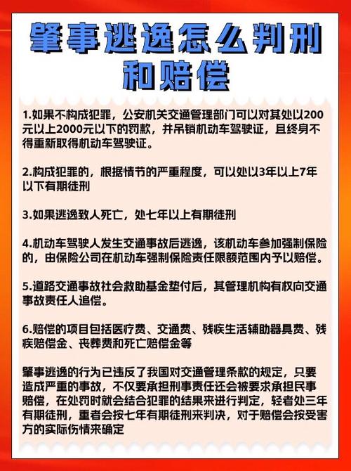 对方逃逸可以要求赔偿些什么图标