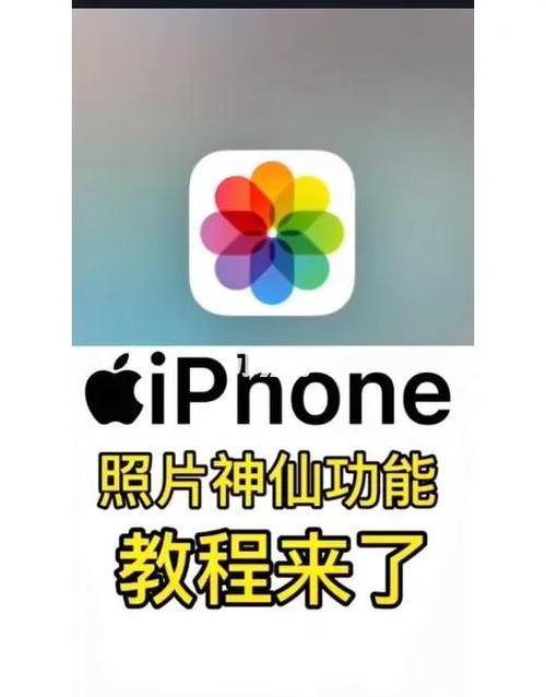 苹果手机图片怎么裁剪