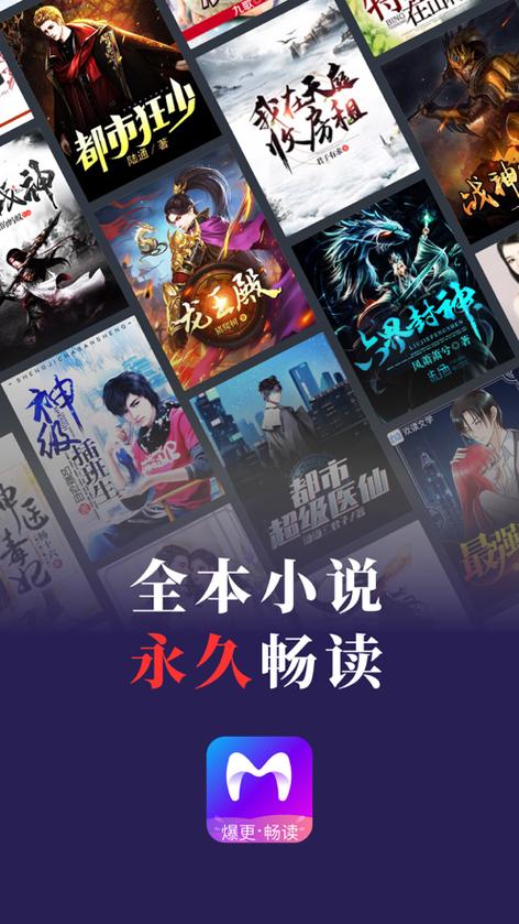 米读小说广告的书名