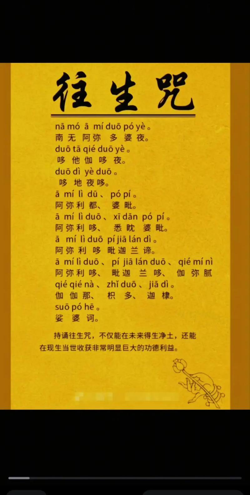 杀生前念什么咒最好图标