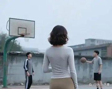 她寻科技是什么