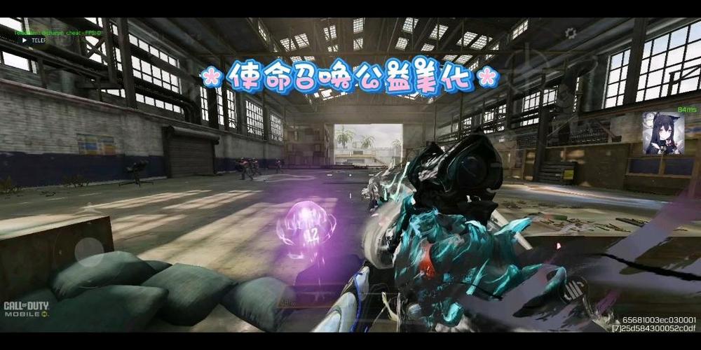 使命召唤全皮肤美化包