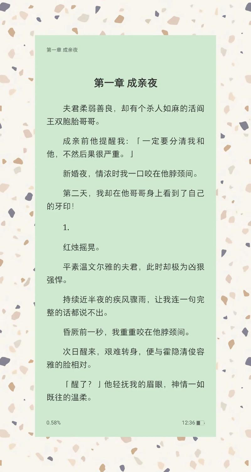 双儿妾by匿名咸鱼笔趣阁