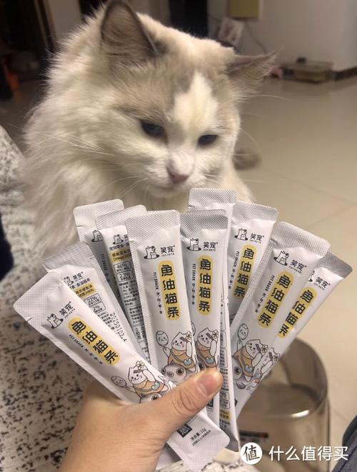 猫条
