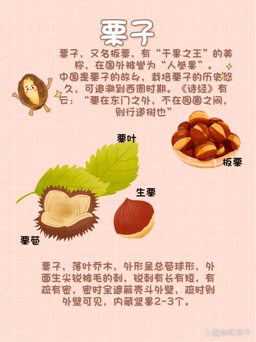 栗子的寓意玄学说法