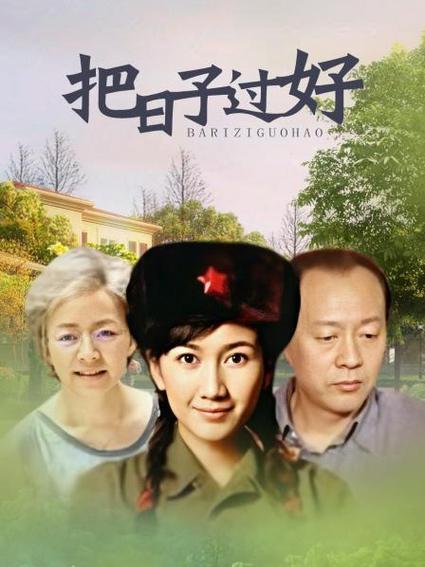 把日子过好故事梗概图标