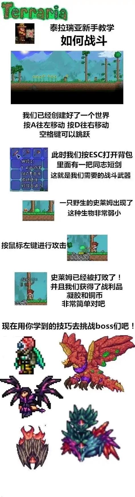 泰拉瑞亚灾厄