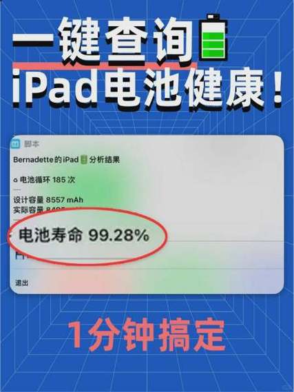 怎么删除ipad电池耗电记录图标