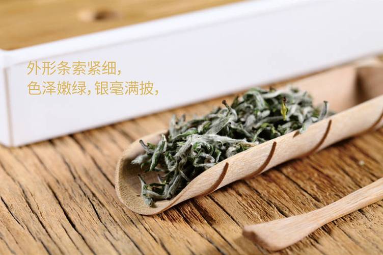 舜皇山帝子灵芽图标