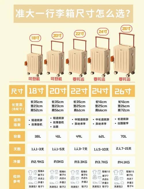 20寸可以直接登机吗图标