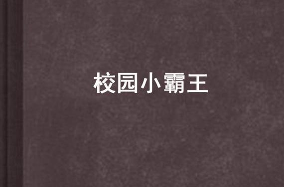校园小霸王