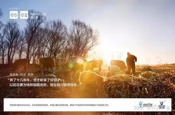 支付宝种树文案