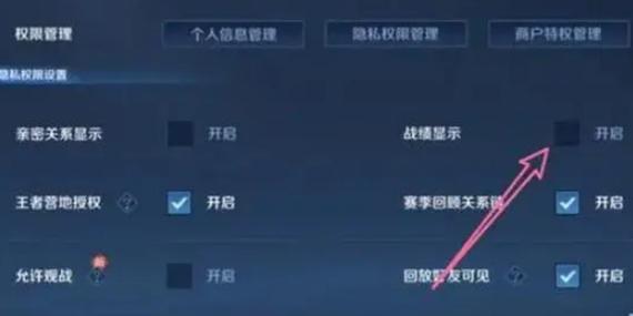 王者荣耀 不显示战绩图标