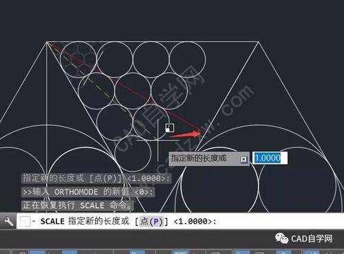 cad缩放到指定尺寸