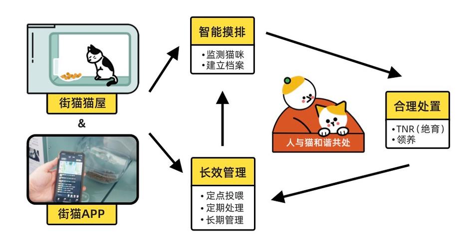 猫街是什么平台?