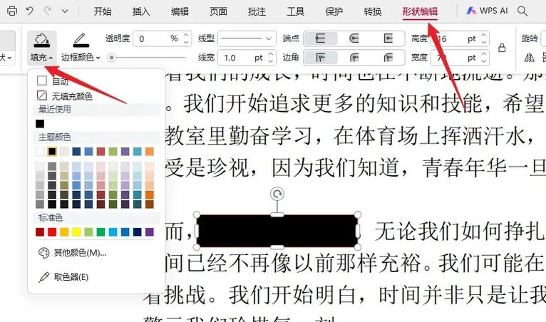 wps私密文档保护图标