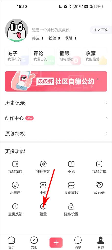 皮皮虾加v有钱赚吗