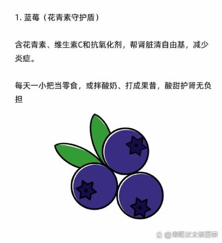 蓝莓相克的食物图标