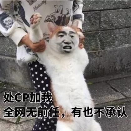 王者处cp表情包