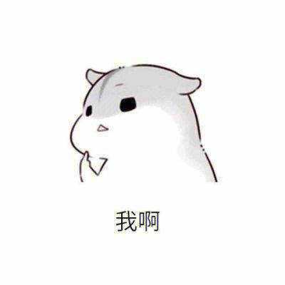 表情包 小仓鼠