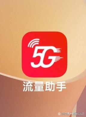 vivo如何查询流量使用情况