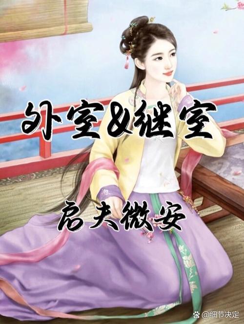 《继室》作者:启夫微安图标