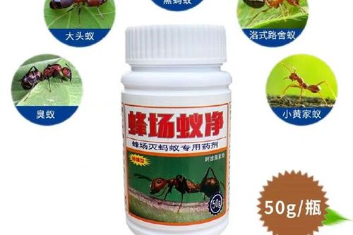蜂箱怎么防蚂蚁最有效的方法