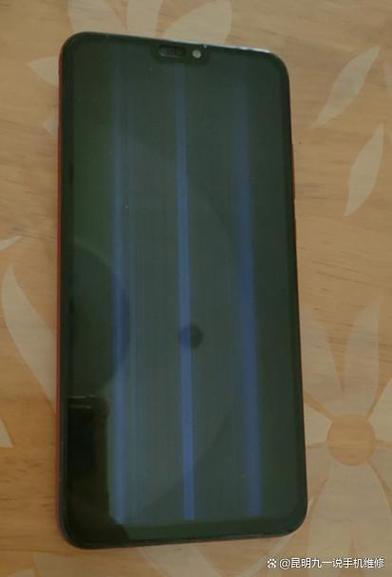 手机进水花了70元,但屏幕不亮
