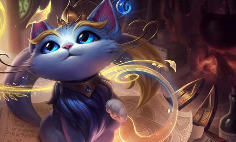 猫咪是什么英雄