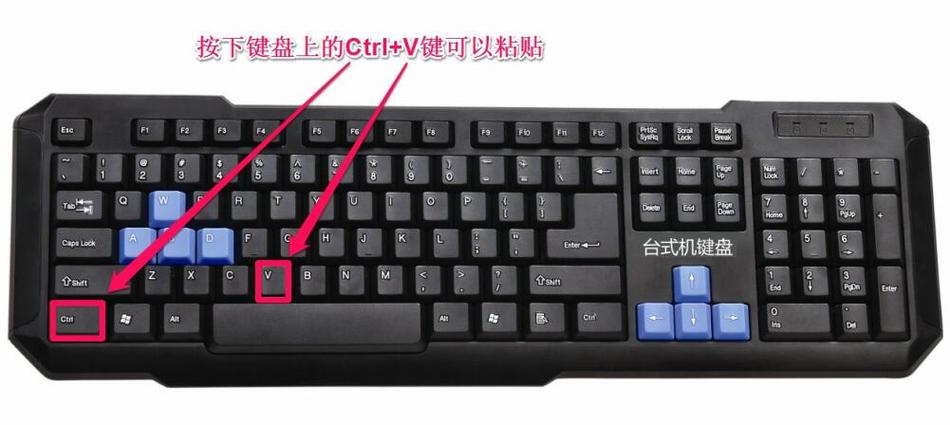 电脑哪个是复制粘贴键