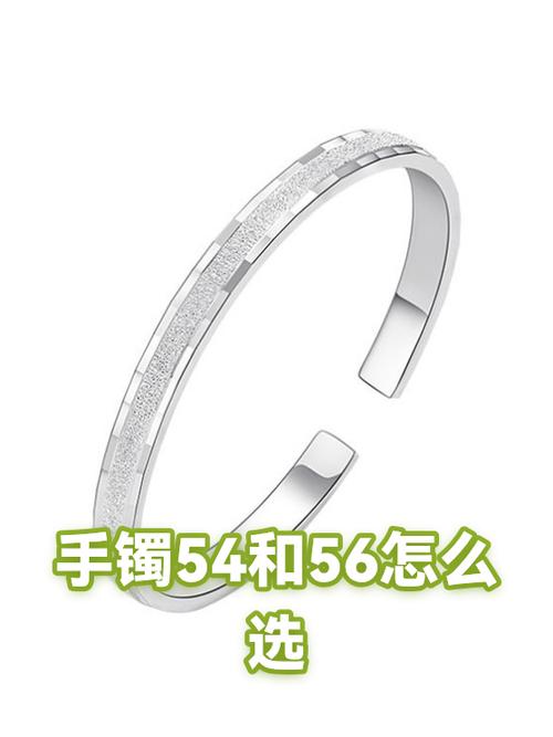 手镯带56的能带54吗图标