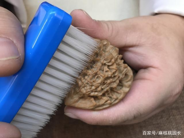 文玩核桃如何清洗