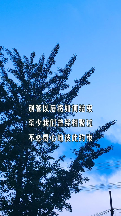 萍聚歌词全文