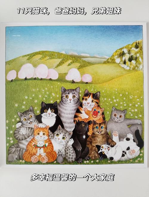猫十六的作品合集TXT