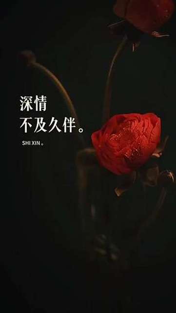犀利的走心文案