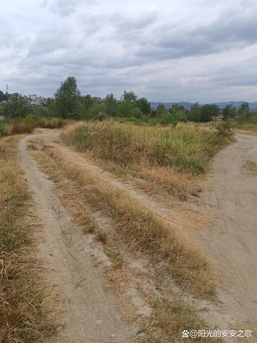 荒野行动开挂辅助器免费