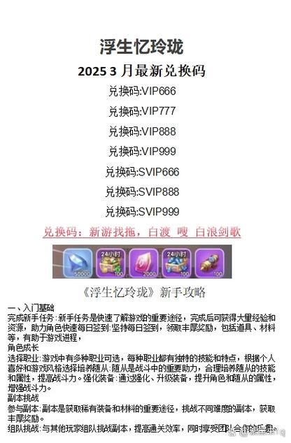 vip666这样的兑换码有哪些