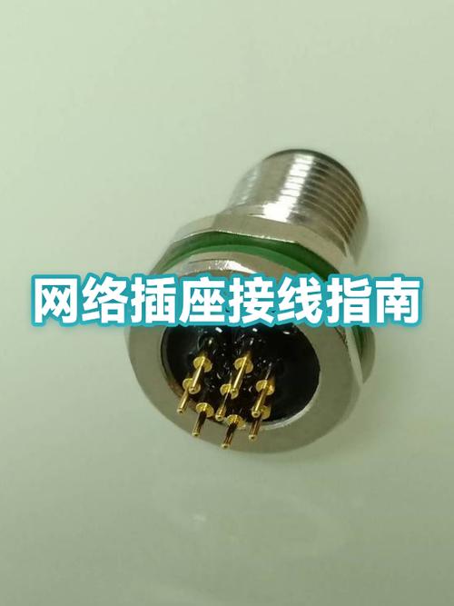 网络插座怎么接线