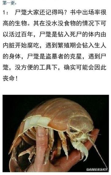 盗墓笔记真实存在吗