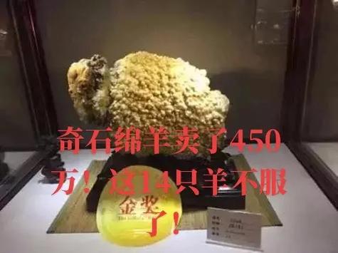 怎样把奇石挂到网上卖